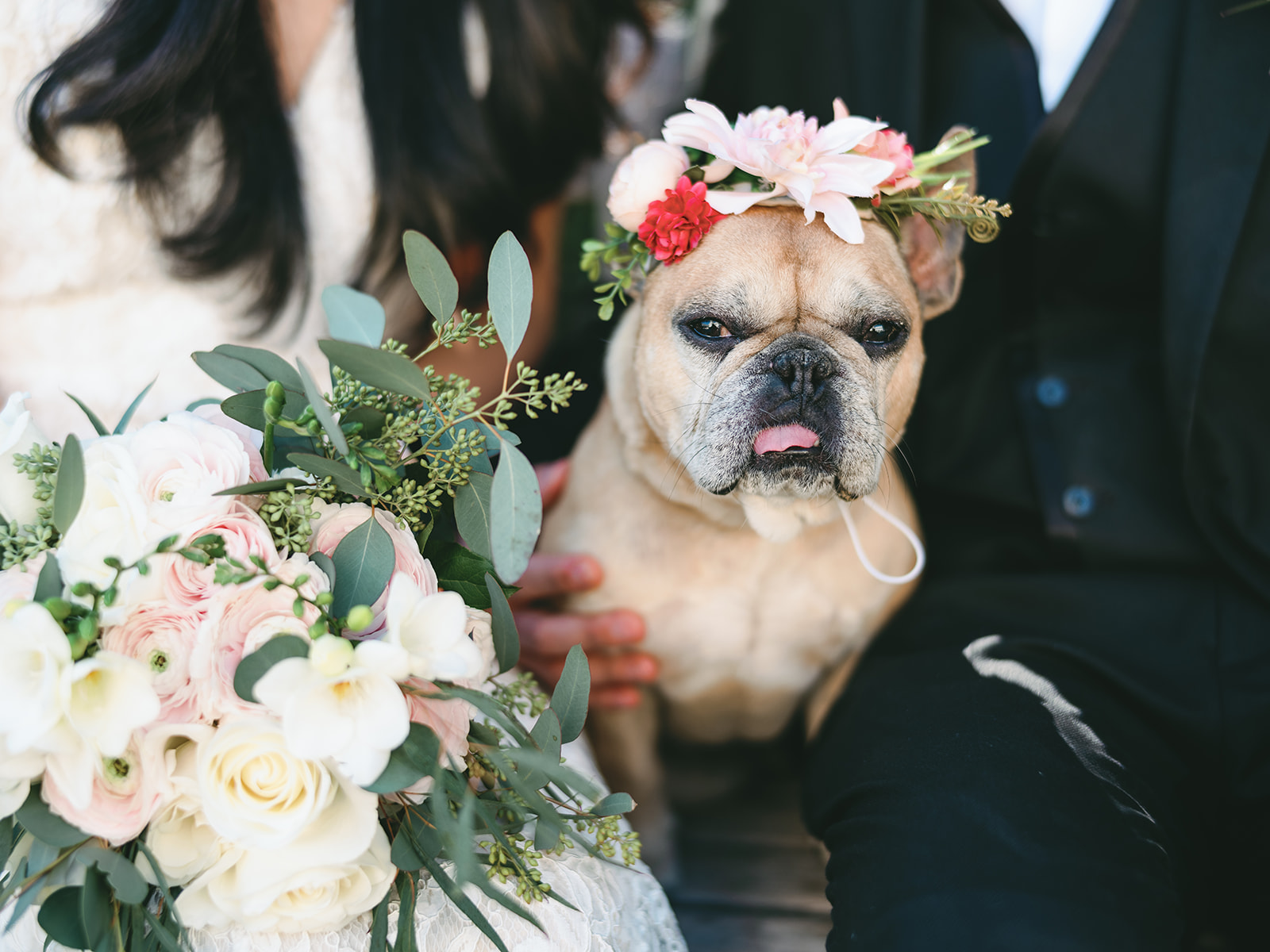 Pasadena City Hall - Elopement